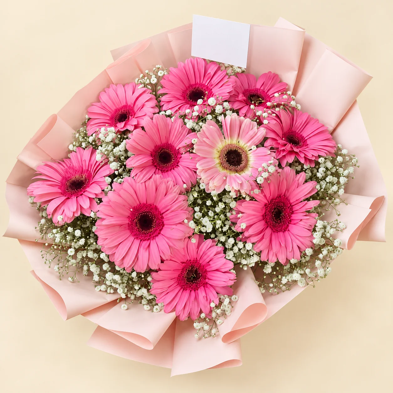 Jardín Fucsia - Ramo de gerberas fucsia rodeadas de paniculata en papel rosado